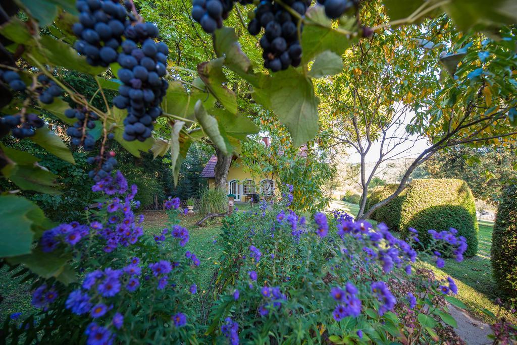 グライスドルフ Winemakers Escapeヴィラ エクステリア 写真